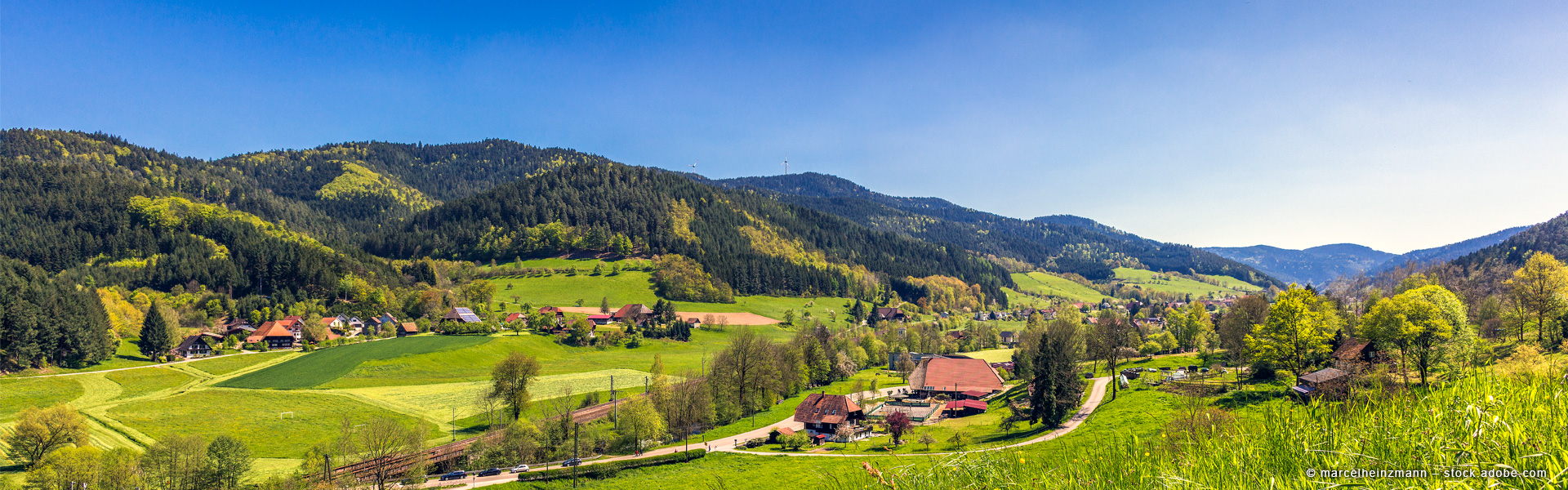 Erzeugergemeinschaft Schwarzwald Bio-Weiderind